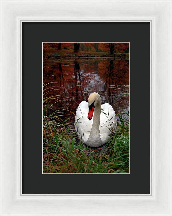 Autumn Nature Photography - Framed Print