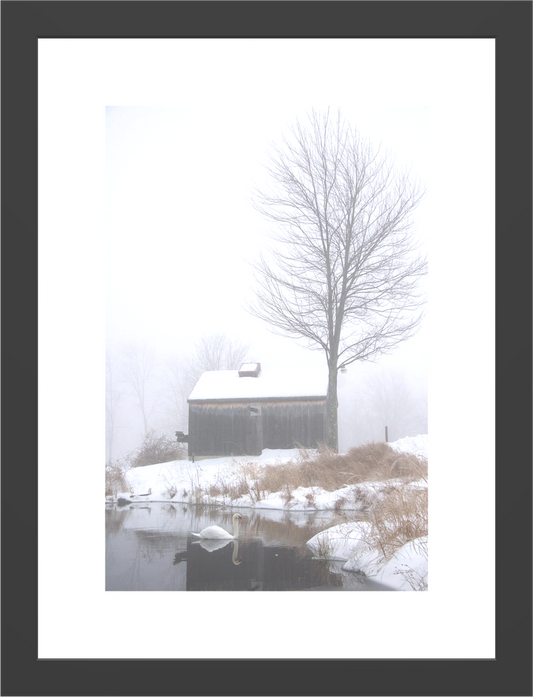 Winter Scenes Photos - Framed Print