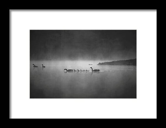 Best Nature Photos - Framed Print