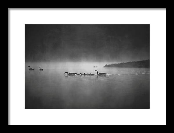 Best Nature Photos - Framed Print