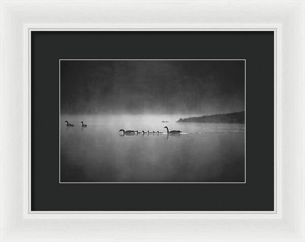 Best Nature Photos - Framed Print