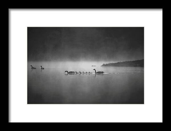 Best Nature Photos - Framed Print