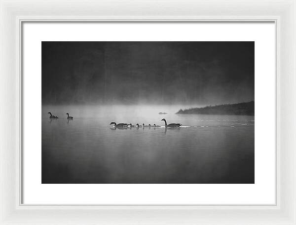 Best Nature Photos - Framed Print