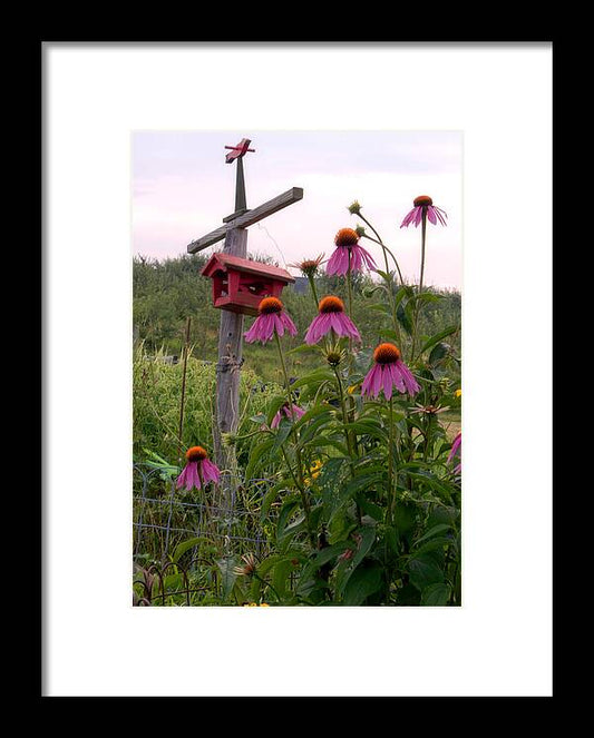 Bird House Images - Framed Print