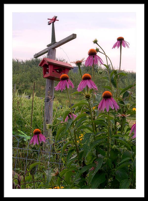 Bird House Images - Framed Print