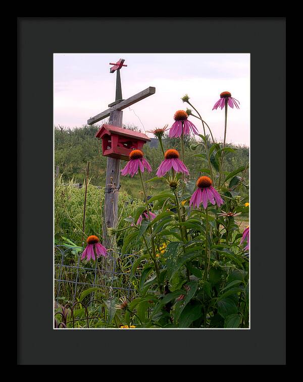 Bird House Images - Framed Print