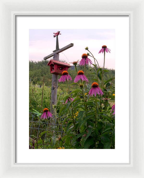 Bird House Images - Framed Print