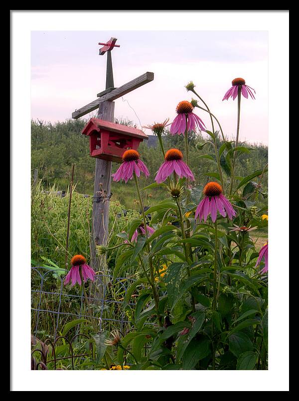 Bird House Images - Framed Print