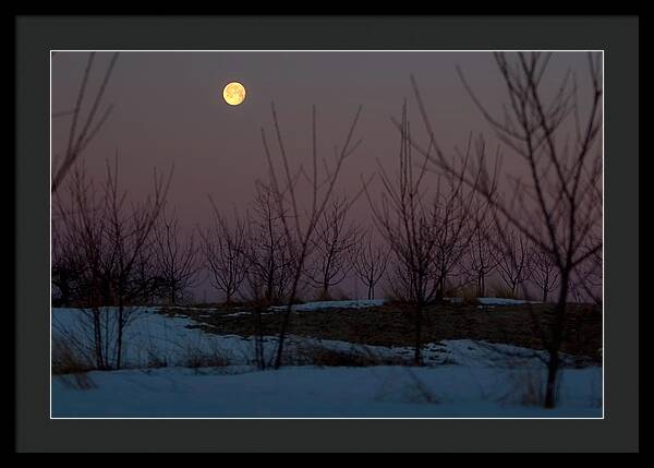 Full Moon Setting Sunrise - Framed Print