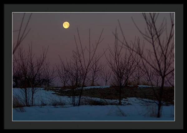 Full Moon Setting Sunrise - Framed Print