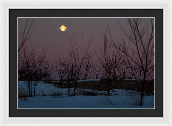 Full Moon Setting Sunrise - Framed Print