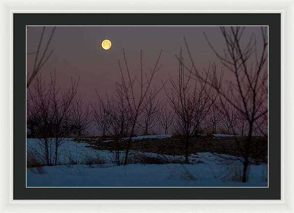 Full Moon Setting Sunrise - Framed Print