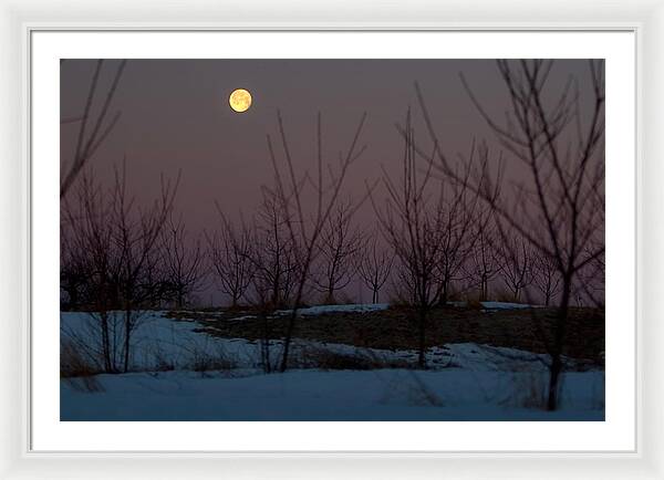 Full Moon Setting Sunrise - Framed Print