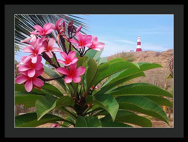 Mancora Lighthouse Mancora Peru - Framed Print