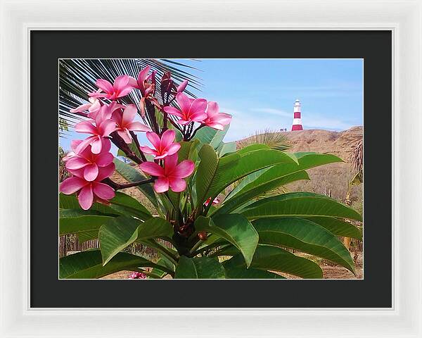 Mancora Lighthouse Mancora Peru - Framed Print