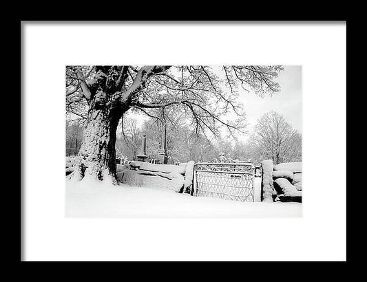 Revolutionary War Cemetery - Framed Print