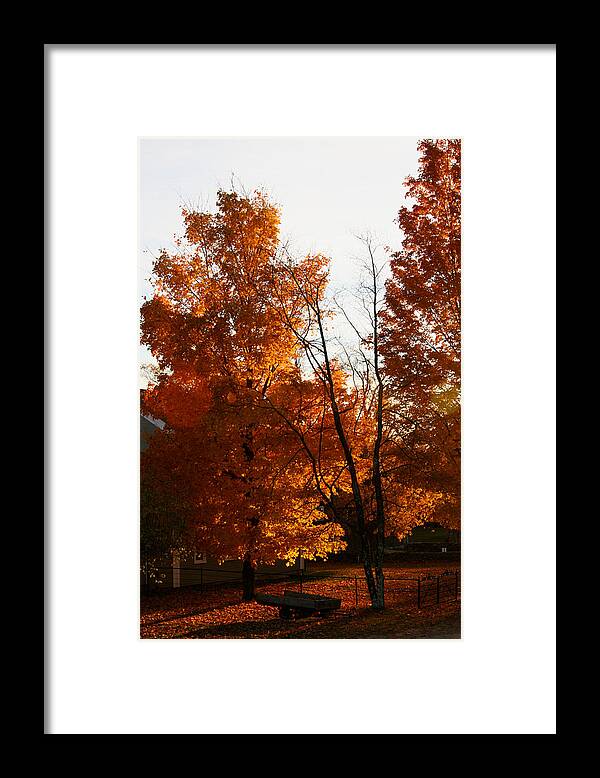 Fall Color Photos - Framed Print