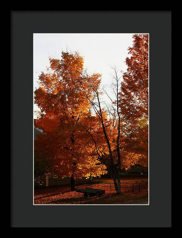 Fall Color Photos - Framed Print