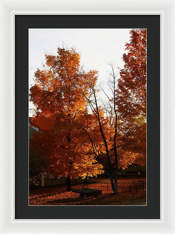 Fall Color Photos - Framed Print