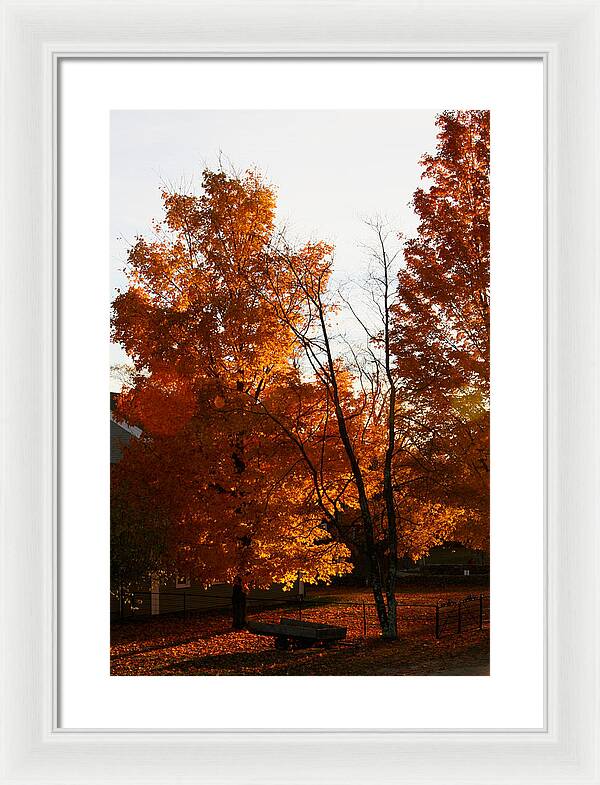 Fall Color Photos - Framed Print