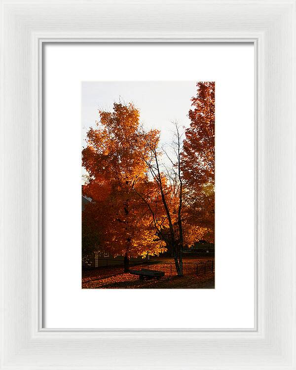 Fall Color Photos - Framed Print