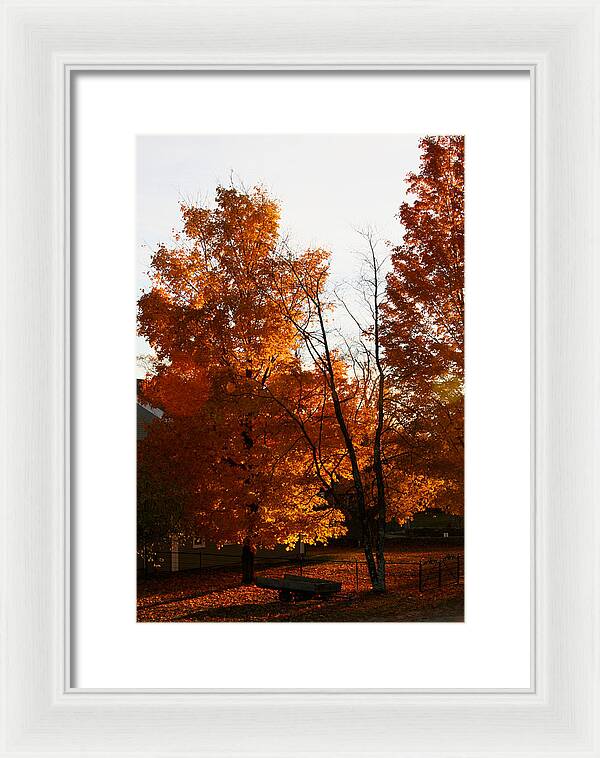 Fall Color Photos - Framed Print