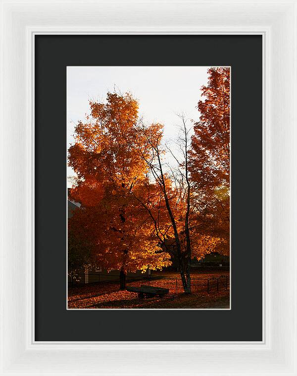 Fall Color Photos - Framed Print