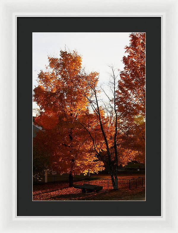 Fall Color Photos - Framed Print