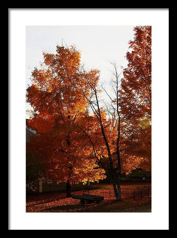 Fall Color Photos - Framed Print