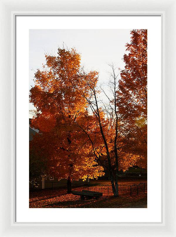 Fall Color Photos - Framed Print