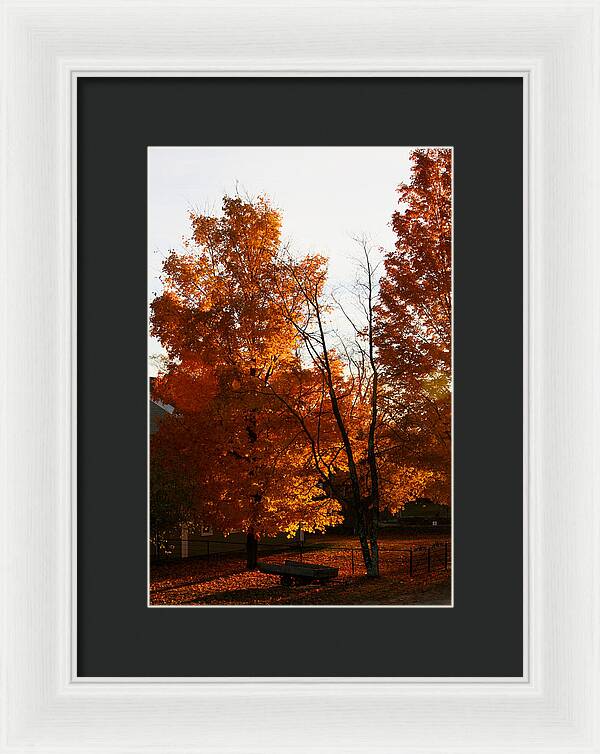 Fall Color Photos - Framed Print