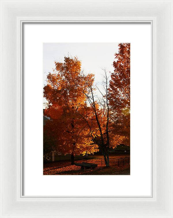 Fall Color Photos - Framed Print