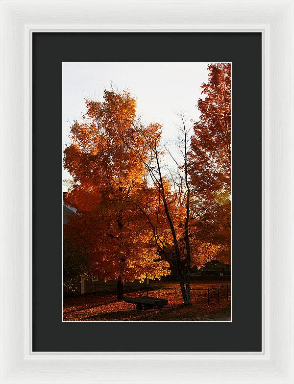 Fall Color Photos - Framed Print