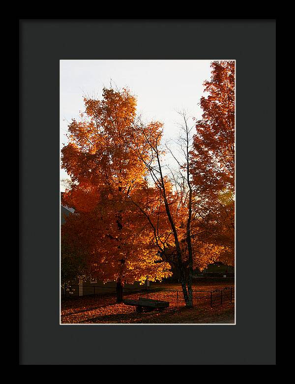 Fall Color Photos - Framed Print