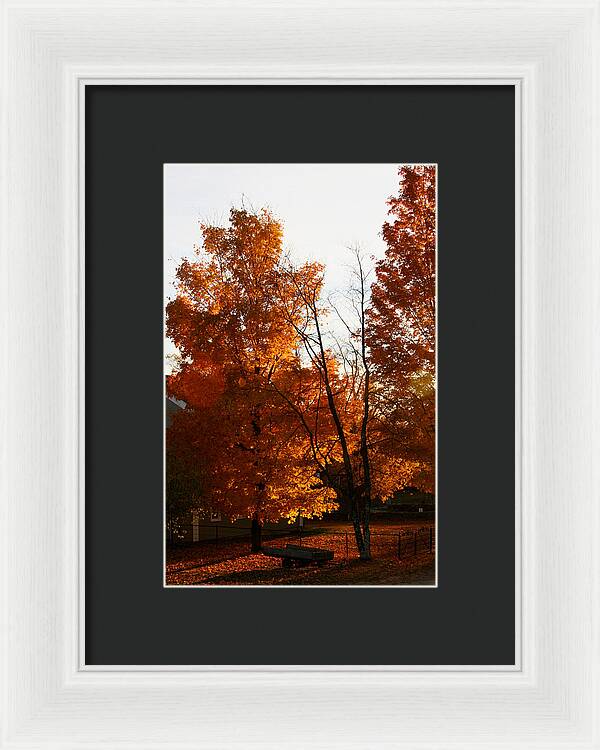 Fall Color Photos - Framed Print