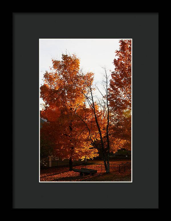 Fall Color Photos - Framed Print