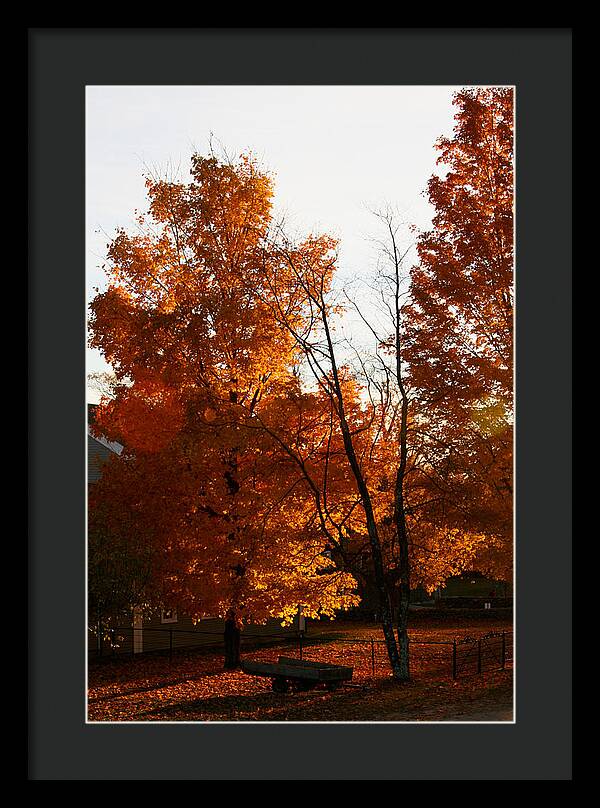 Fall Color Photos - Framed Print