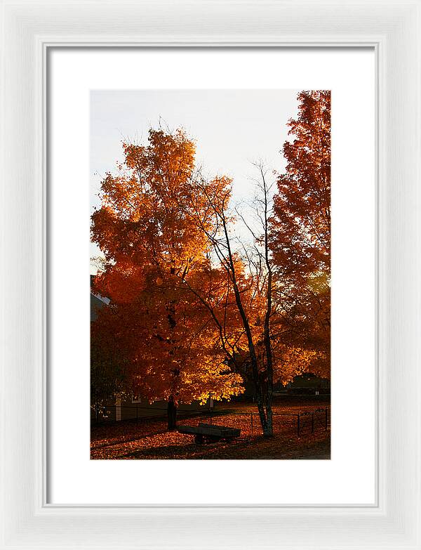 Fall Color Photos - Framed Print