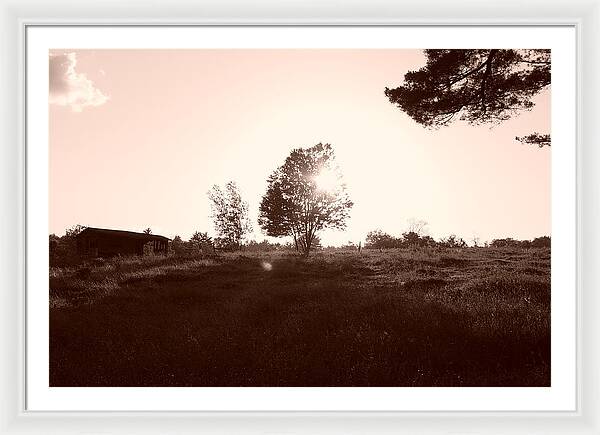 Sunset Photos - Framed Print