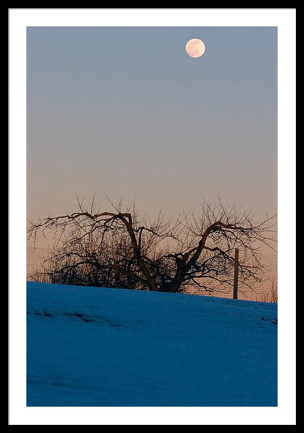 Winter Full Moon Rise  - Framed Print