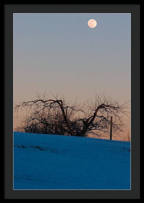 Winter Full Moon Rise  - Framed Print